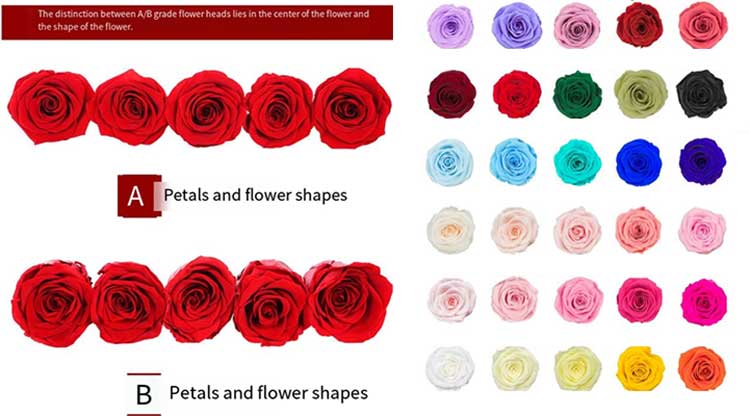 Eternal Flower Keychains