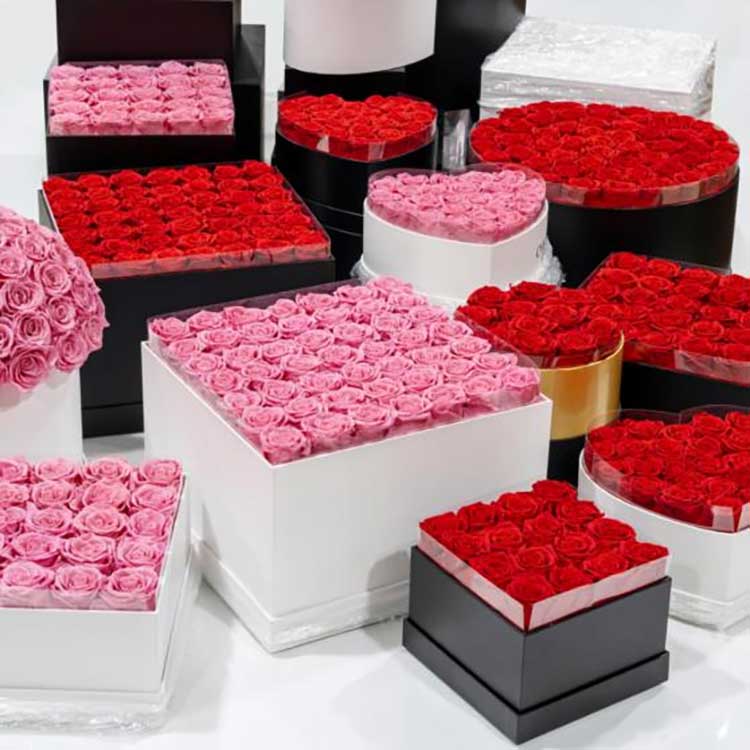 Kontserbatutako Lore Besarkada Ontzia