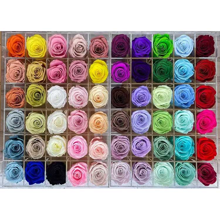 Kontserbatutako Arrosak